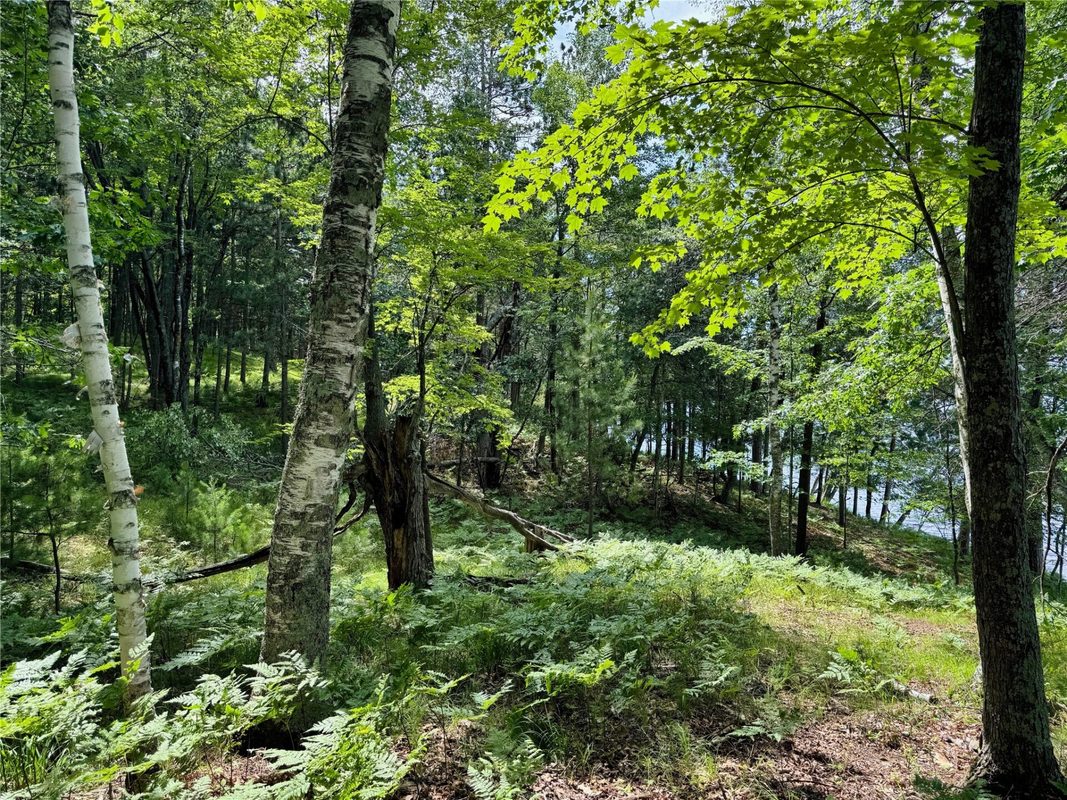 11149 Merganser Lane, Hayward WI 54843 - Land house for sale - MLS #1604672 - image23