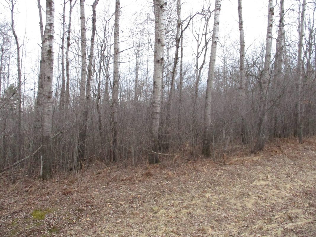 Lot #24 28 11/16 Street, Birchwood WI 54817 - Land house for sale - MLS #1599869 - image5