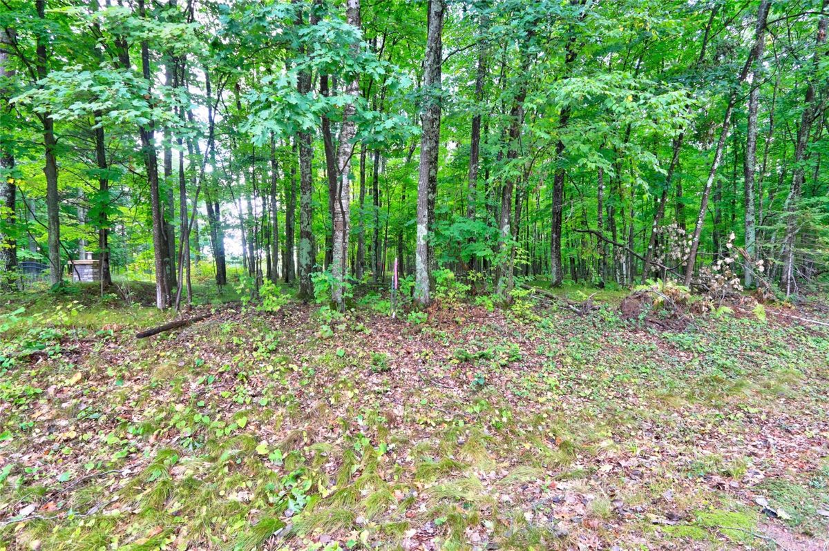 0 Twin Lake Road, Hayward WI 54843 - Land house for sale - MLS #1605254 - image10