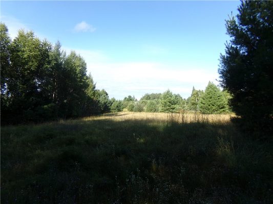 7581 Lot 1 Marsik Road, Lake Nebagamon WI 54849 - Land house for sale - MLS #1594623 - image1