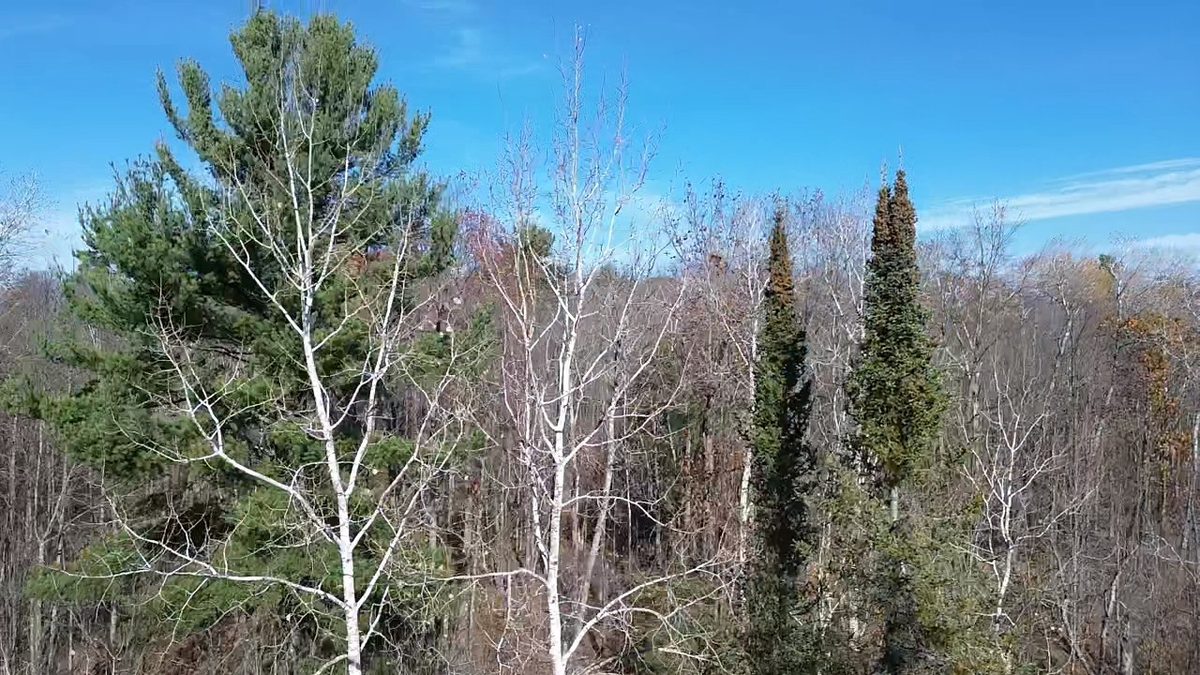 127XX State Highway 70, Couderay WI 54828 - Land house for sale - MLS #1606290 - image31
