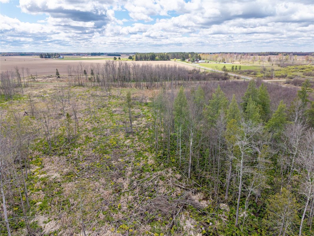 40 Acres Anderson Road & School Road, Glen Flora WI 54526 - Land house for sale - MLS #1601150 - image11