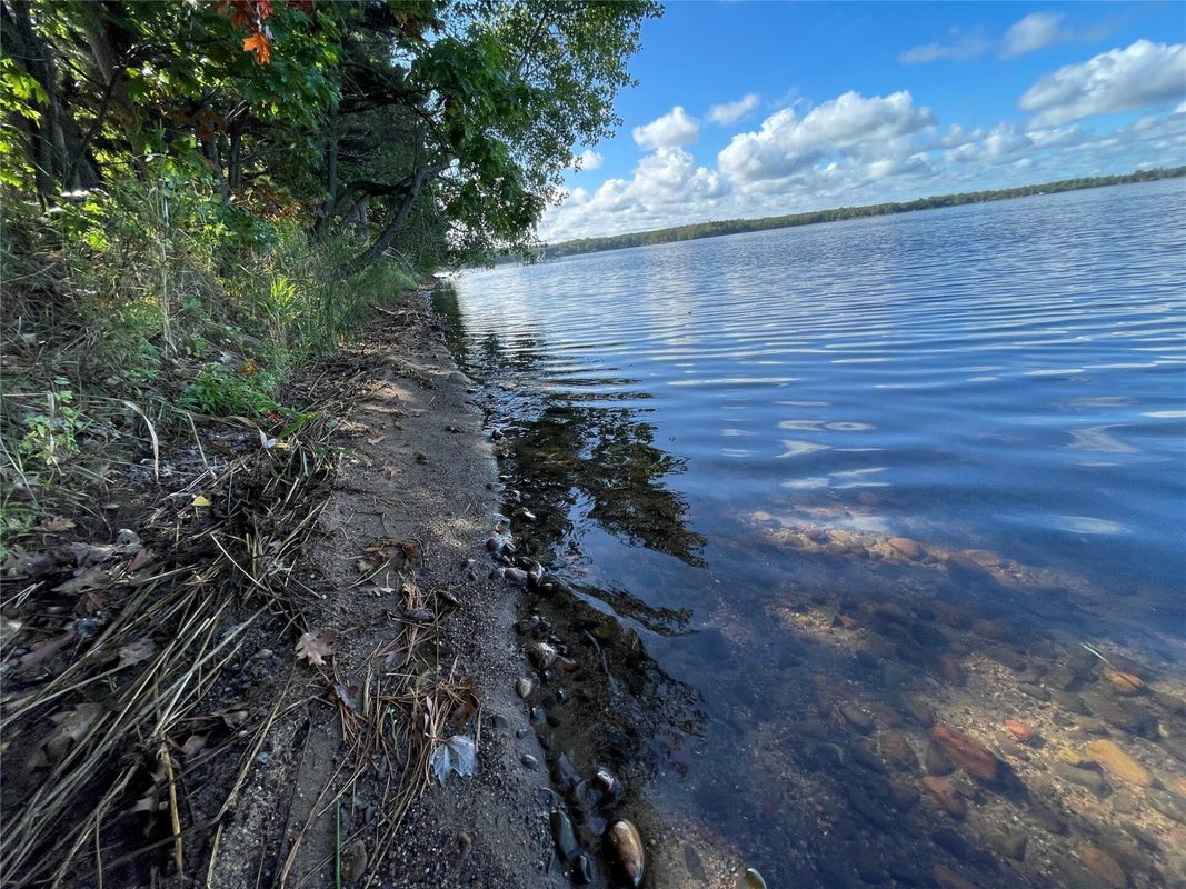 6073 Elsie Road, Stone Lake WI 54876 - Land house for sale - MLS #1602616 - image3