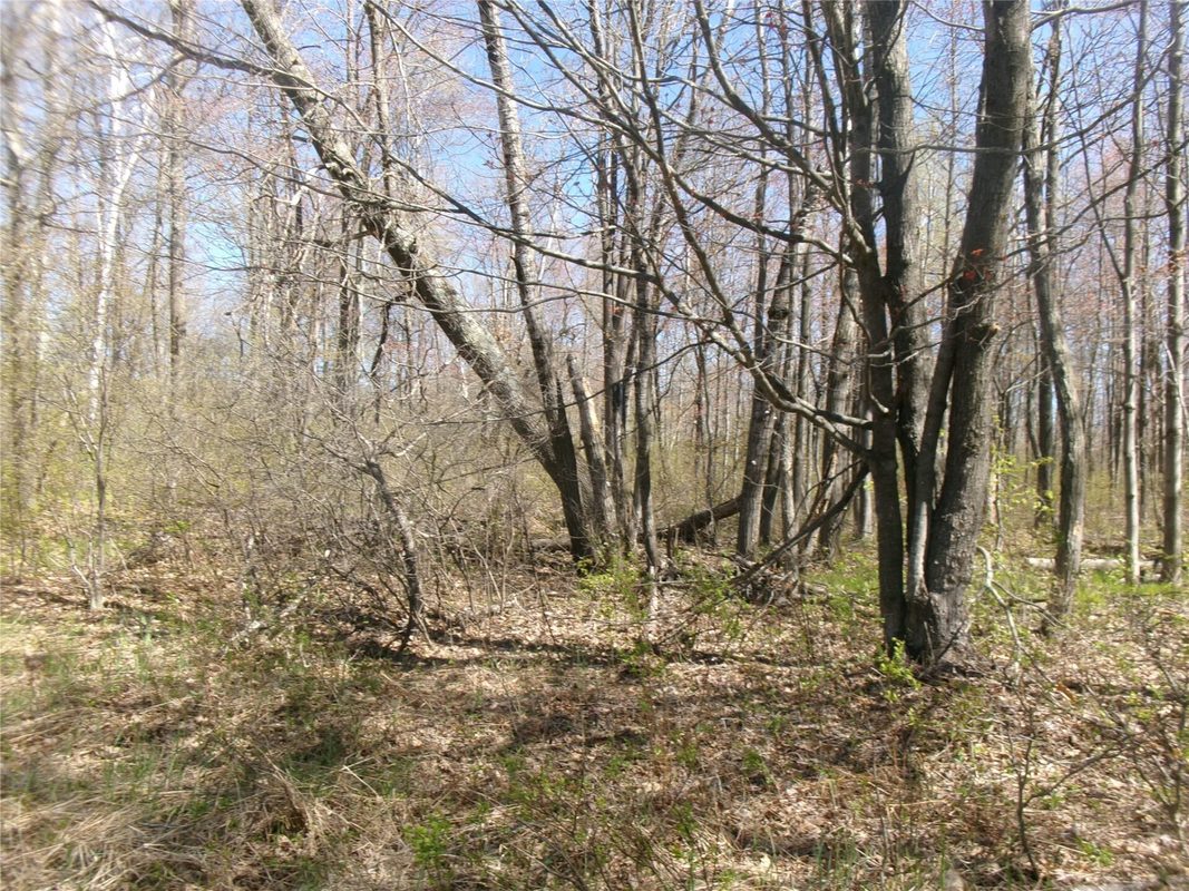 Tax ID 35410 Moody Lake Road, Sarona WI 54870 - Land house for sale - MLS #1601029 - image9