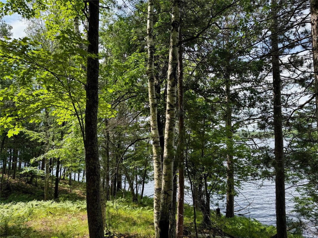 11149 Merganser Lane, Hayward WI 54843 - Land house for sale - MLS #1604672 - image29