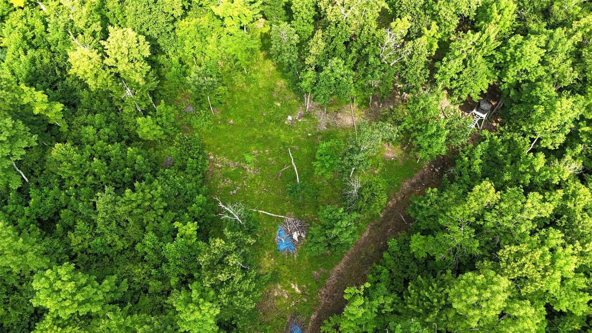 XXX Eckel Lane, Couderay WI 54835 - Land house for sale - MLS #1603143 - image12