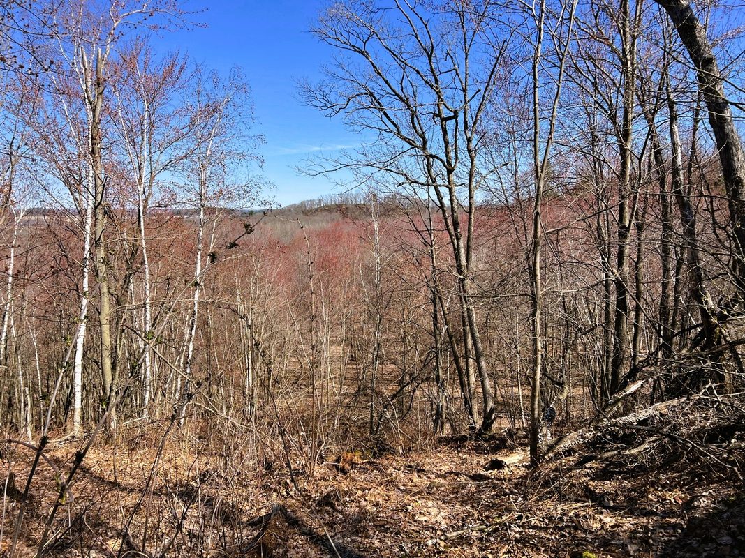000 Pete Coulee Road, Taylor, WI — photo 11