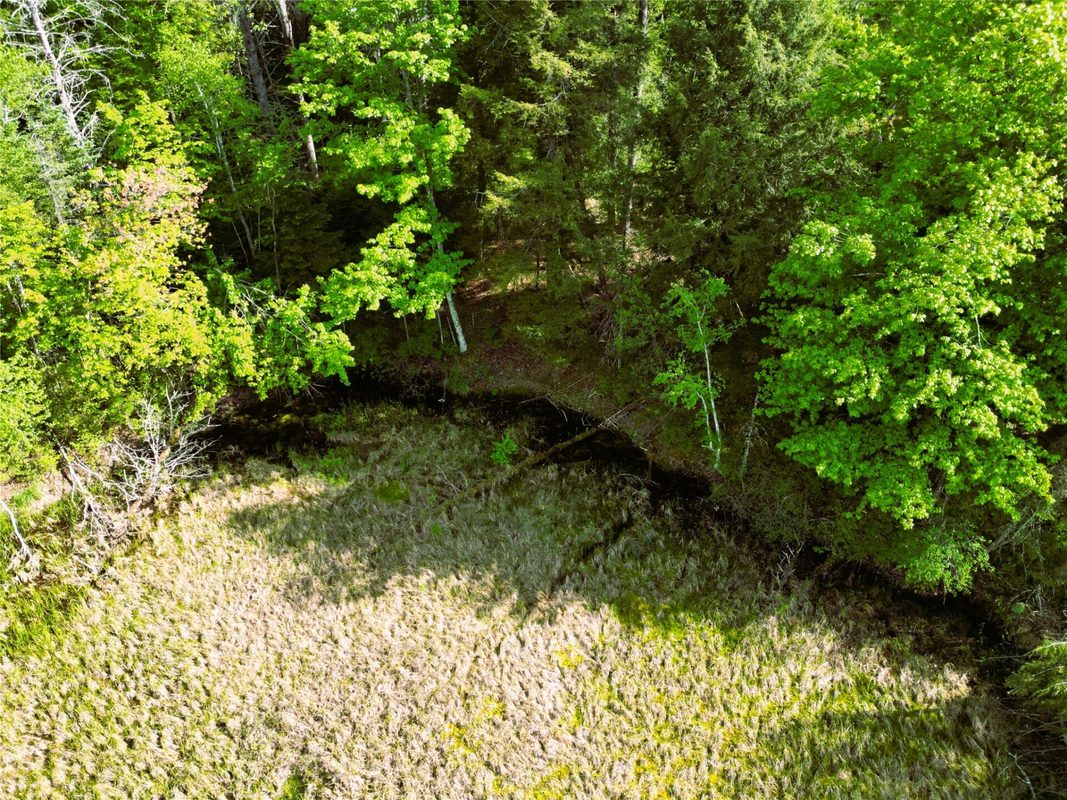 W9902 Flohr Road, Ladysmith WI 54848 - Residential house for sale - MLS #1601560 - image41
