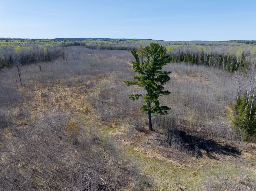 TBD Swedlund Road, Herbster WI 54844 - Land house for sale - MLS #1605965 - image2