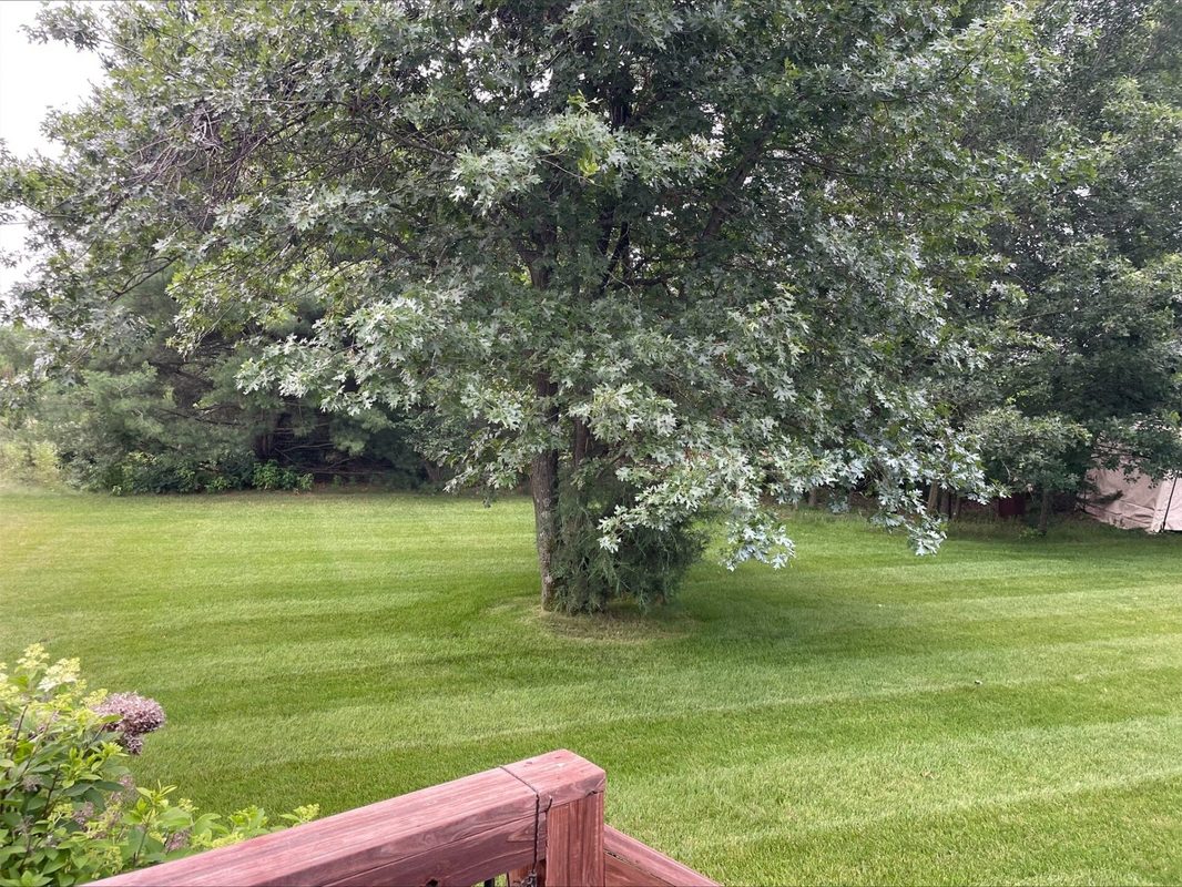 Residential at E3547 Pine Creek Road, Eleva, WI 54738 — photo 39