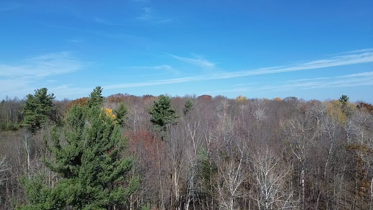 127XX State Highway 70, Couderay WI 54828 - Land house for sale - MLS #1606290 - image35