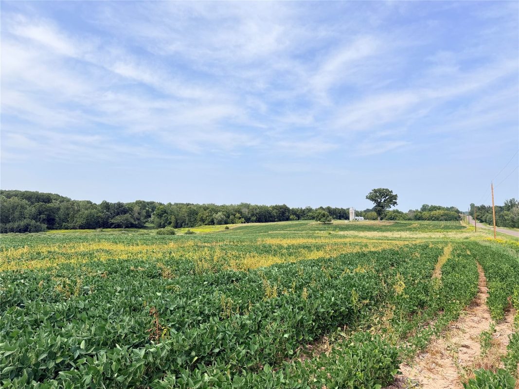 10 Acres Lot 4 230th Street, St Croix Falls WI 54024 - Land house for sale - MLS #1606210 - image26