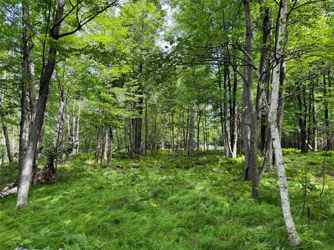 11149 Merganser Lane, Hayward WI 54843 - Land house for sale - MLS #1604672 - image33