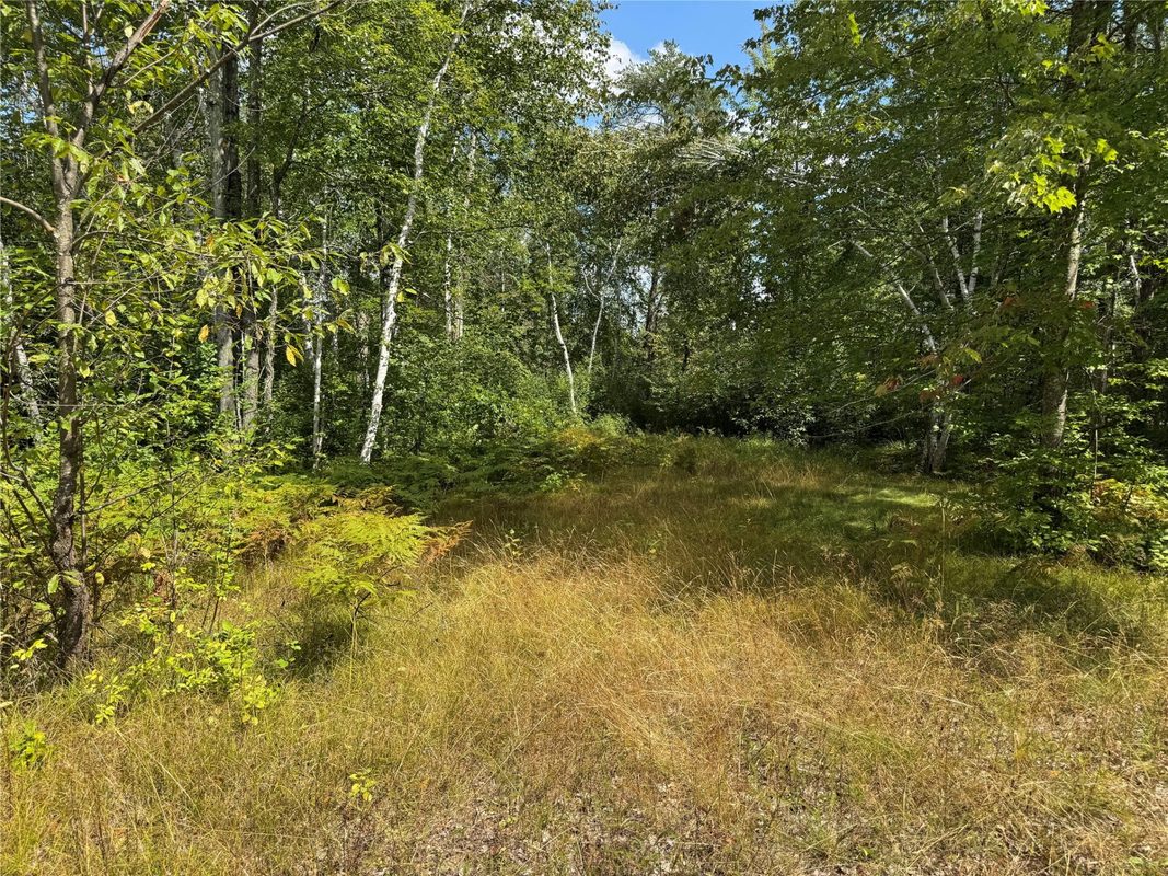 900 County Road A, Tomahawk WI 54487 - Land house for sale - MLS #1604619 - image17