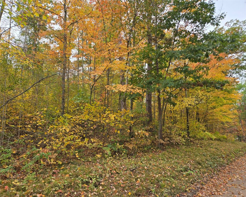 16119 Henks Road, Hayward WI 54843 - Land house for sale - MLS #1605555 - image3