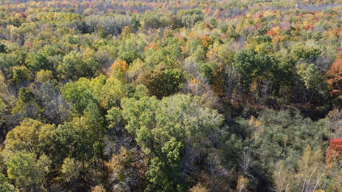 OOO RICHFIELD WOOD ROAD, Arpin WI 54410 - Land house for sale - MLS #1605936 - image23