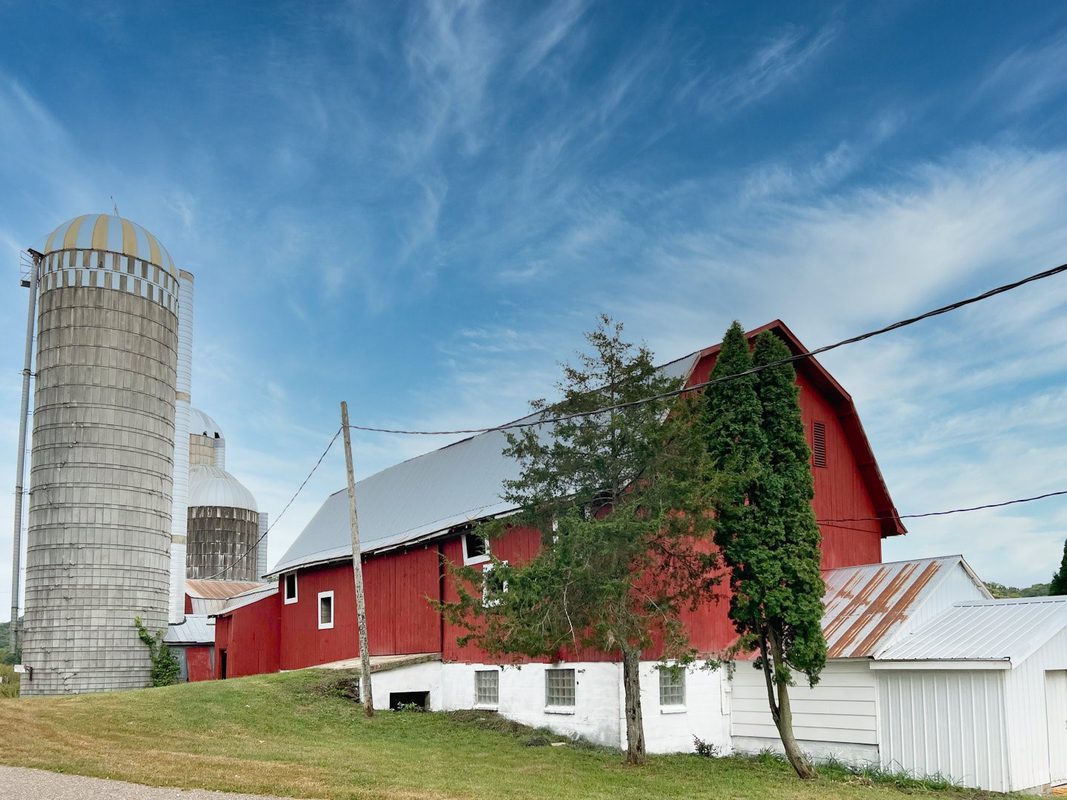 N3684 Claire Road Taylor WI 54659 — photo 28