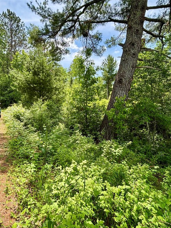 16550 Ridgerock Road, Hayward WI 54843 - Land house for sale - MLS #1591202 - image10