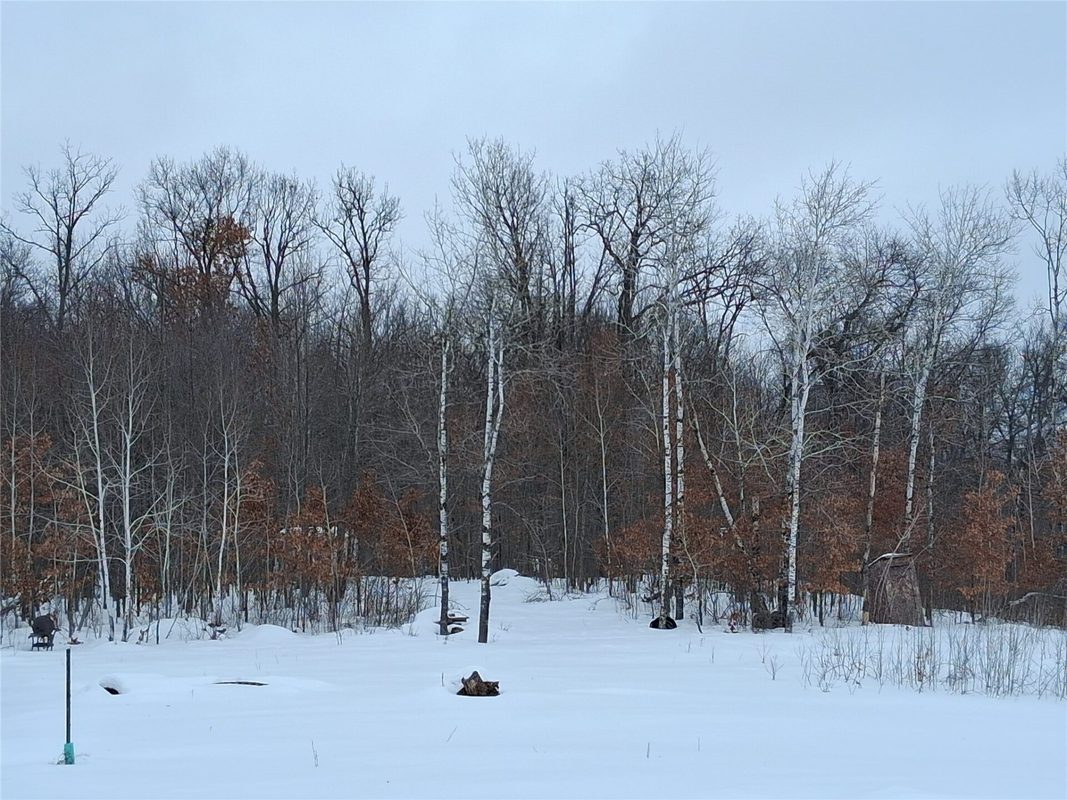 11116 Blackberry Road, Trego WI 54888 - Land house for sale - MLS #1601881 - image38
