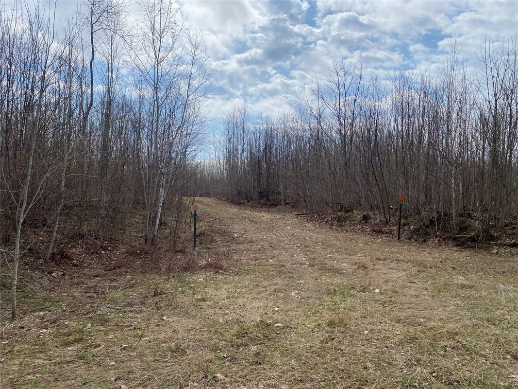 Near Wilson Lake Road Phillips WI 54555 — photo 6