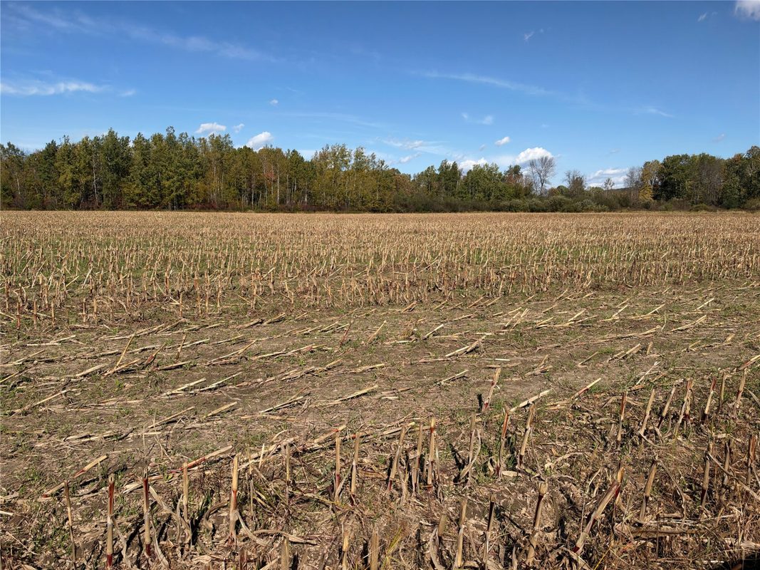 OOO RICHFIELD WOOD ROAD, Arpin WI 54410 - Land house for sale - MLS #1605936 - image5