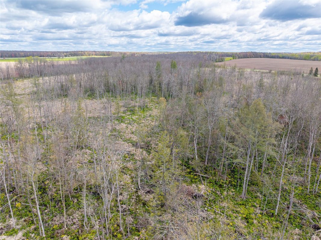 40 Acres Anderson Road & School Road, Glen Flora WI 54526 - Land house for sale - MLS #1601150 - image13