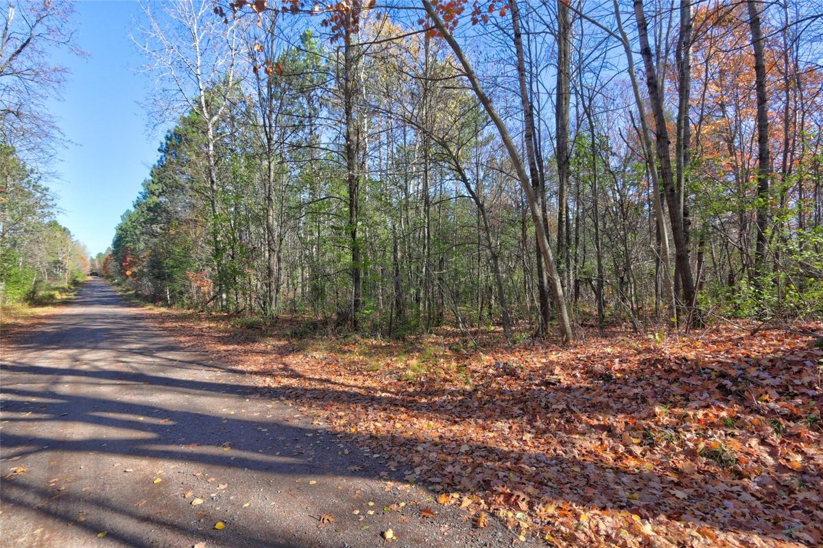 11720N Harper Road, Hayward WI 54843 - Land house for sale - MLS #1606038 - image2