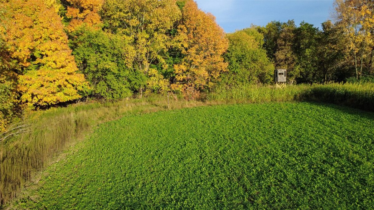 965 340th Avenue, Frederic WI 54837 - Land house for sale - MLS #1605722 - image3