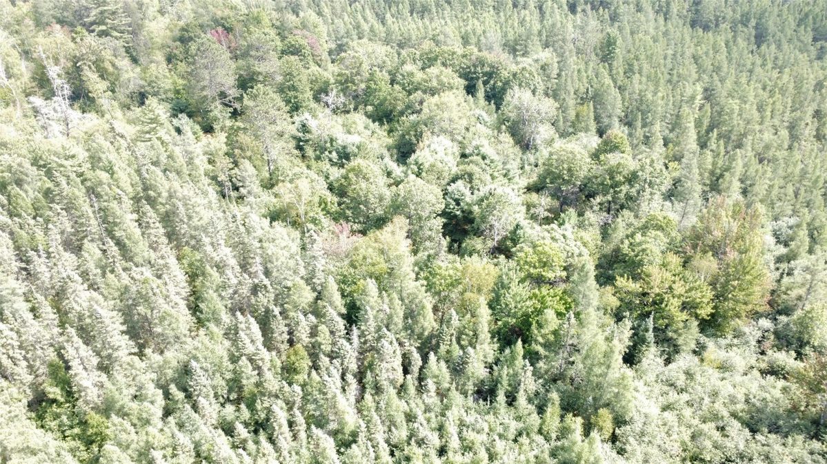 900 County Road A, Tomahawk WI 54487 - Land house for sale - MLS #1604619 - image52