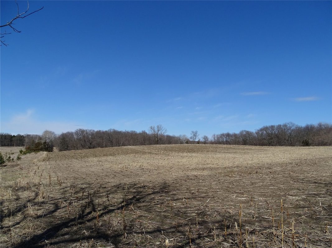 000 160th Avenue Maiden Rock WI 54750 — photo 2
