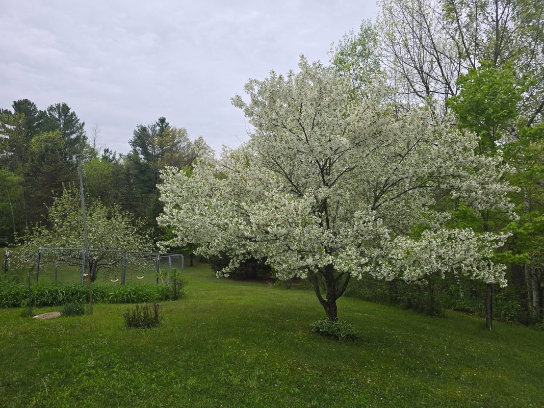 2403 50th Street, Cumberland WI 54829 - Residential house for sale - MLS #1603296 - image9