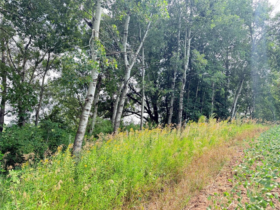10 Acres Lot 4 230th Street, St Croix Falls WI 54024 - Land house for sale - MLS #1606210 - image14