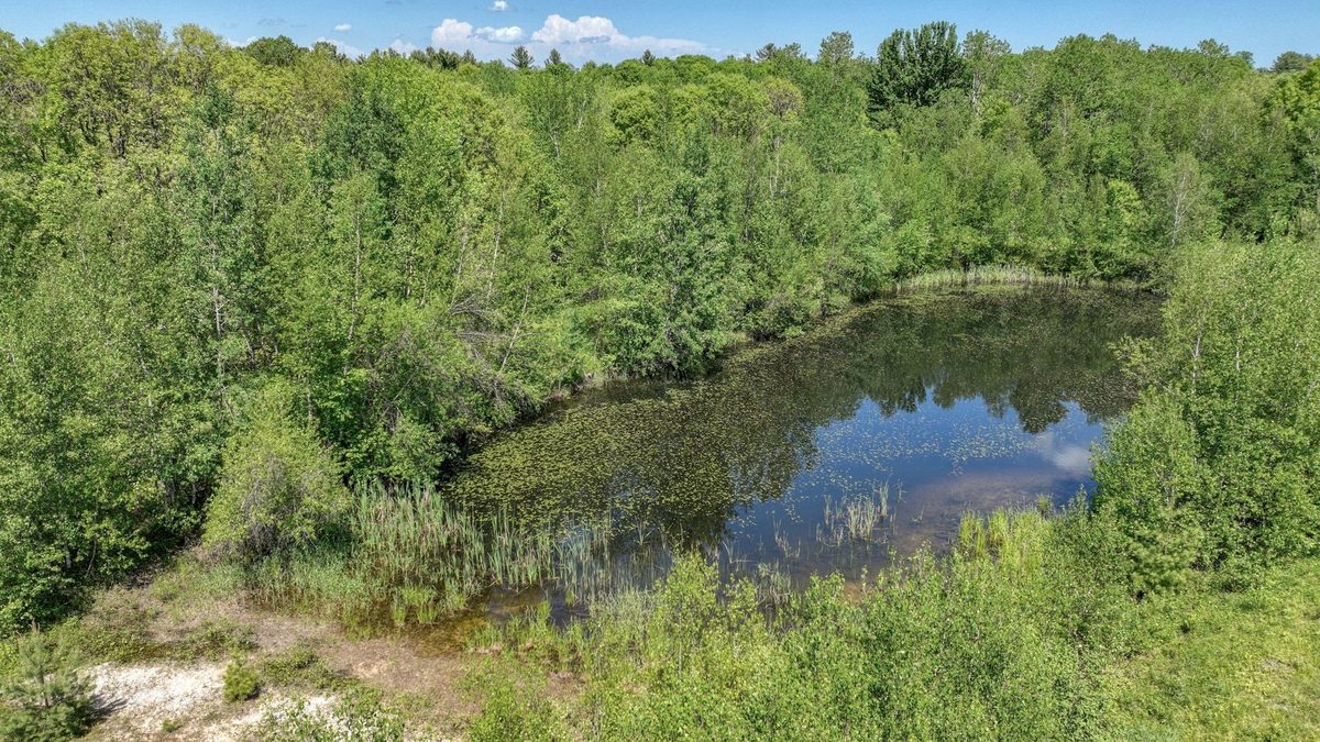 644 Main Street, Fairchild WI 54741 - Residential house for sale - MLS #1599177 - image23