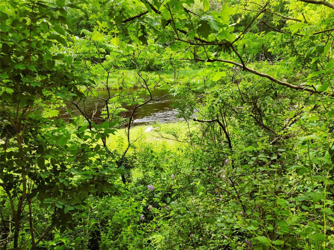 1.35 Acres on Isabella Lane, Sheldon, WI — photo 4