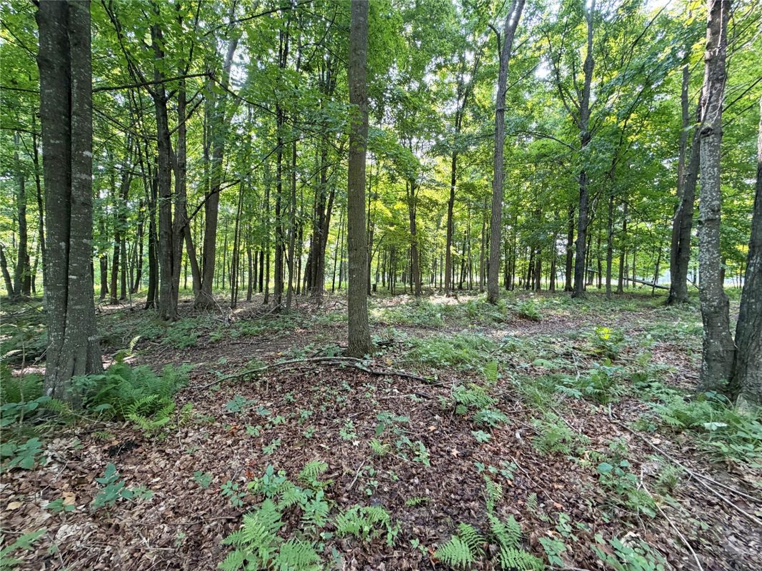 W13159 Sieck Road, Bruce WI 54819 - Residential house for sale - MLS #1603889 - image39