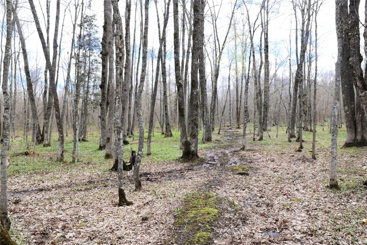 0000 West Eckel Lane, Exeland, WI