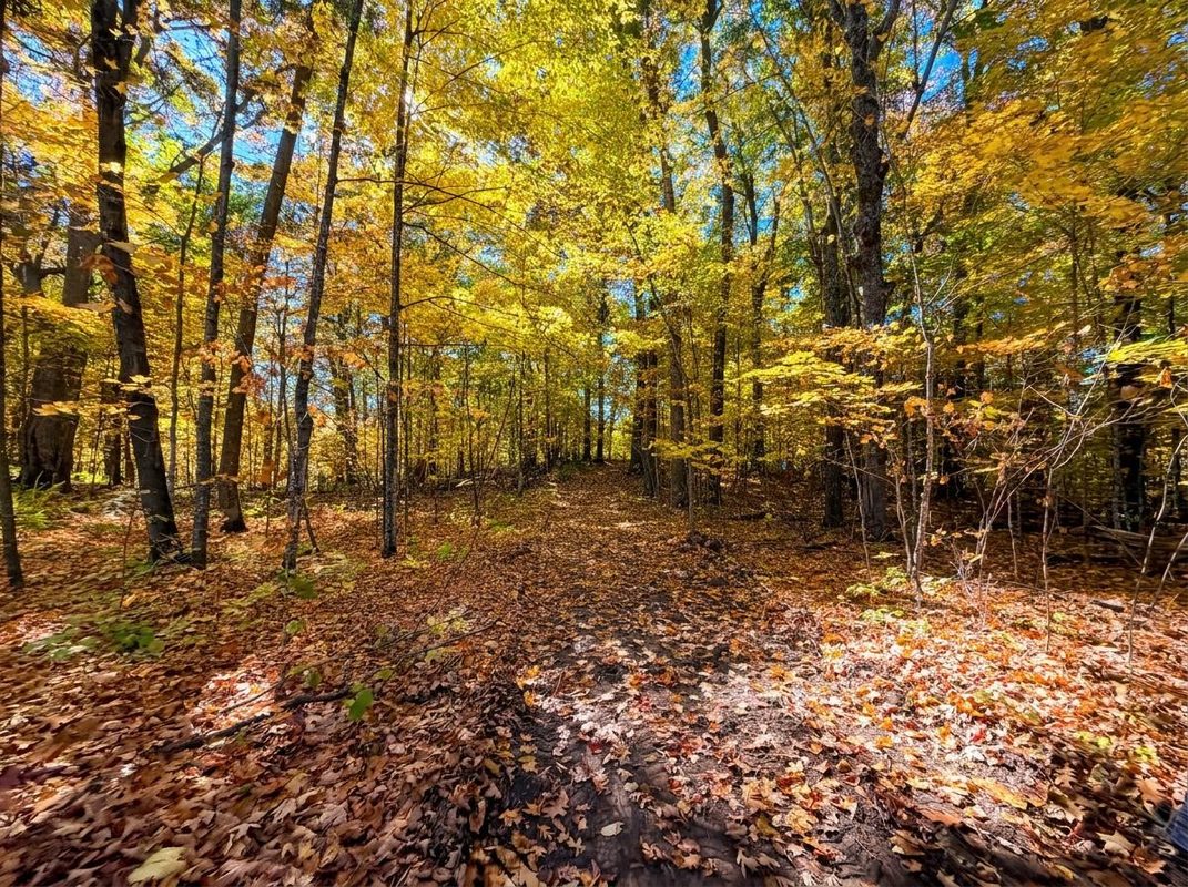 Lot 78, 79 Loons Landing Road, Weyerhaeuser WI 54895 - Land house for sale - MLS #1605876 - image8