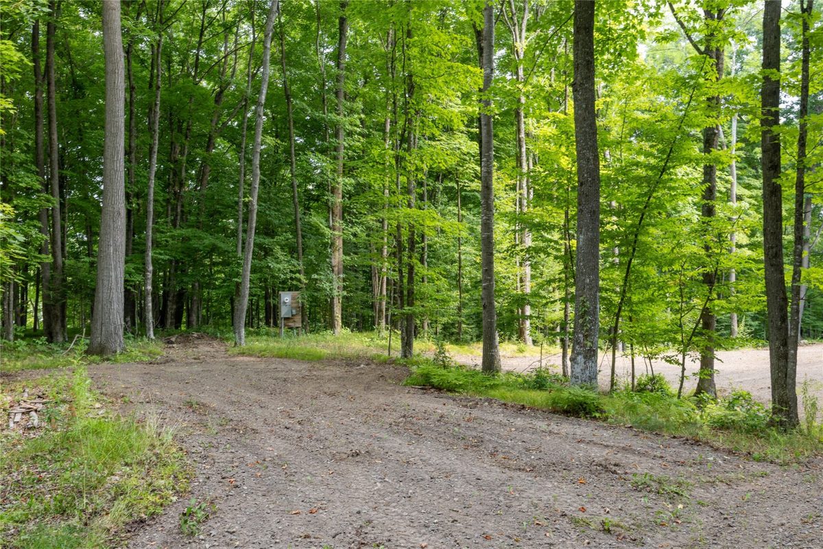 W5957 Happy Acres Road, Tony WI 54563 - Land house for sale - MLS #1604243 - image4