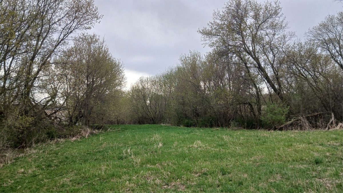 62 Acres 82nd St, Bloomer, WI — photo 2