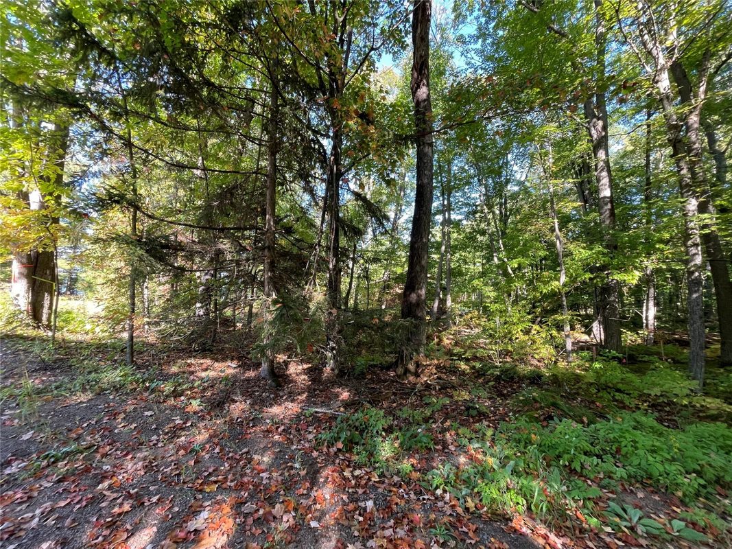 6073 Elsie Road, Stone Lake WI 54876 - Land house for sale - MLS #1602616 - image11