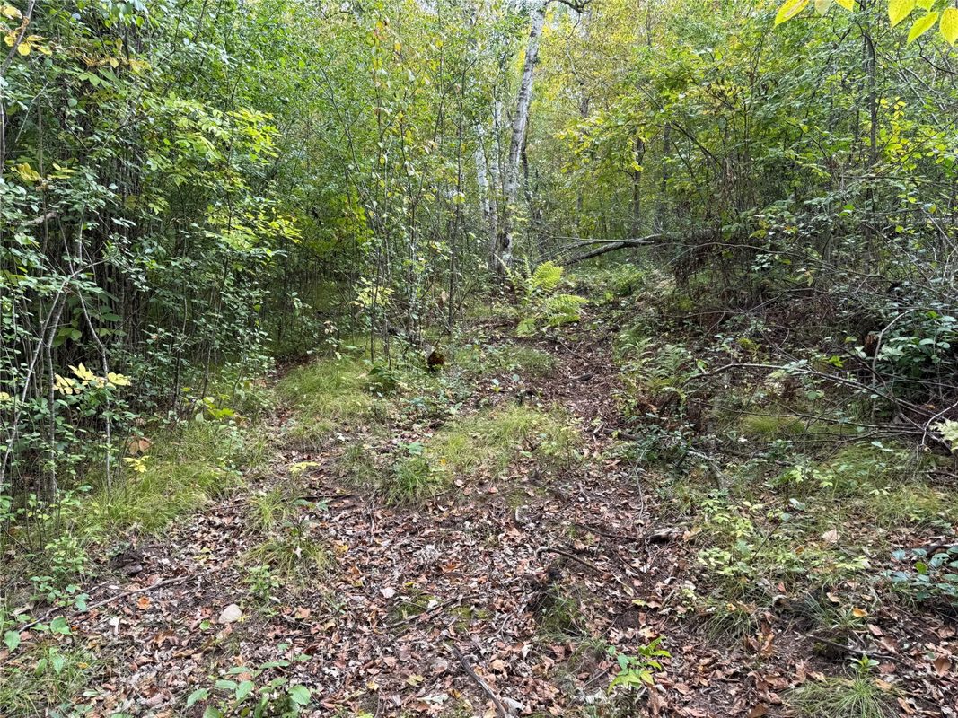 XXX 23 1/2 Street, Rice Lake WI 54868 - Land house for sale - MLS #1605312 - image28