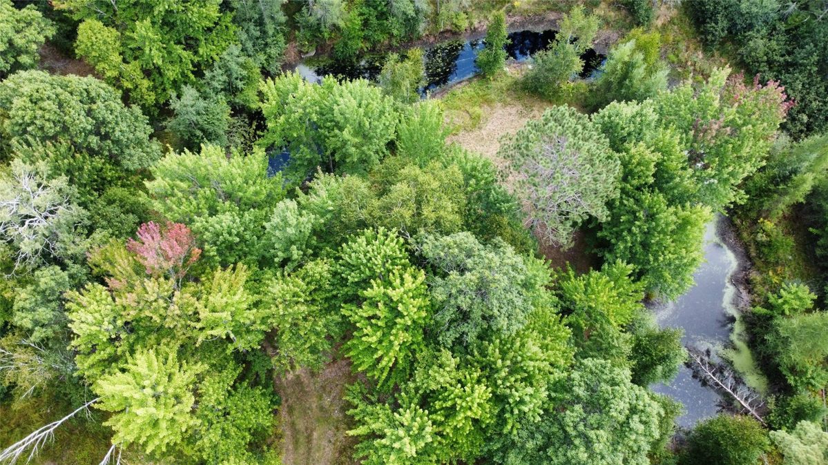 900 County Road A, Tomahawk WI 54487 - Land house for sale - MLS #1604619 - image60