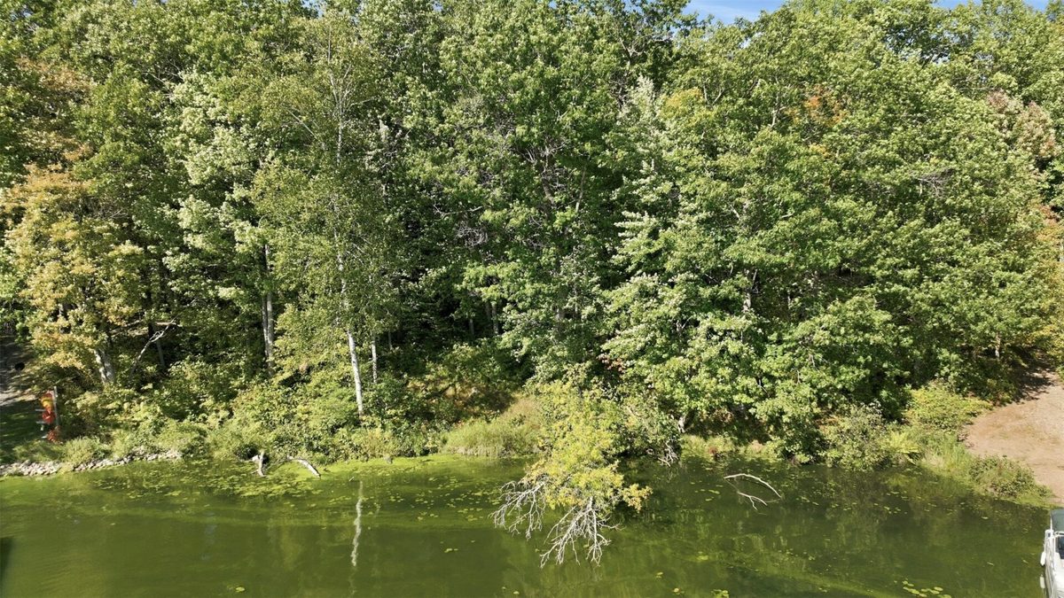Lot 2 Sugar Bay Road, Chetek WI 54728 - Land house for sale - MLS #1605220 - image7