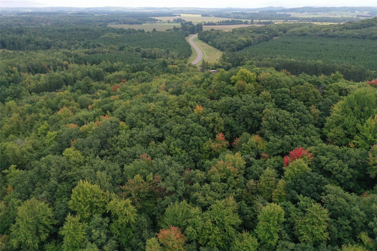 W02 State Highway 64, Colfax WI 54730 - Land house for sale - MLS #1604529 - image44
