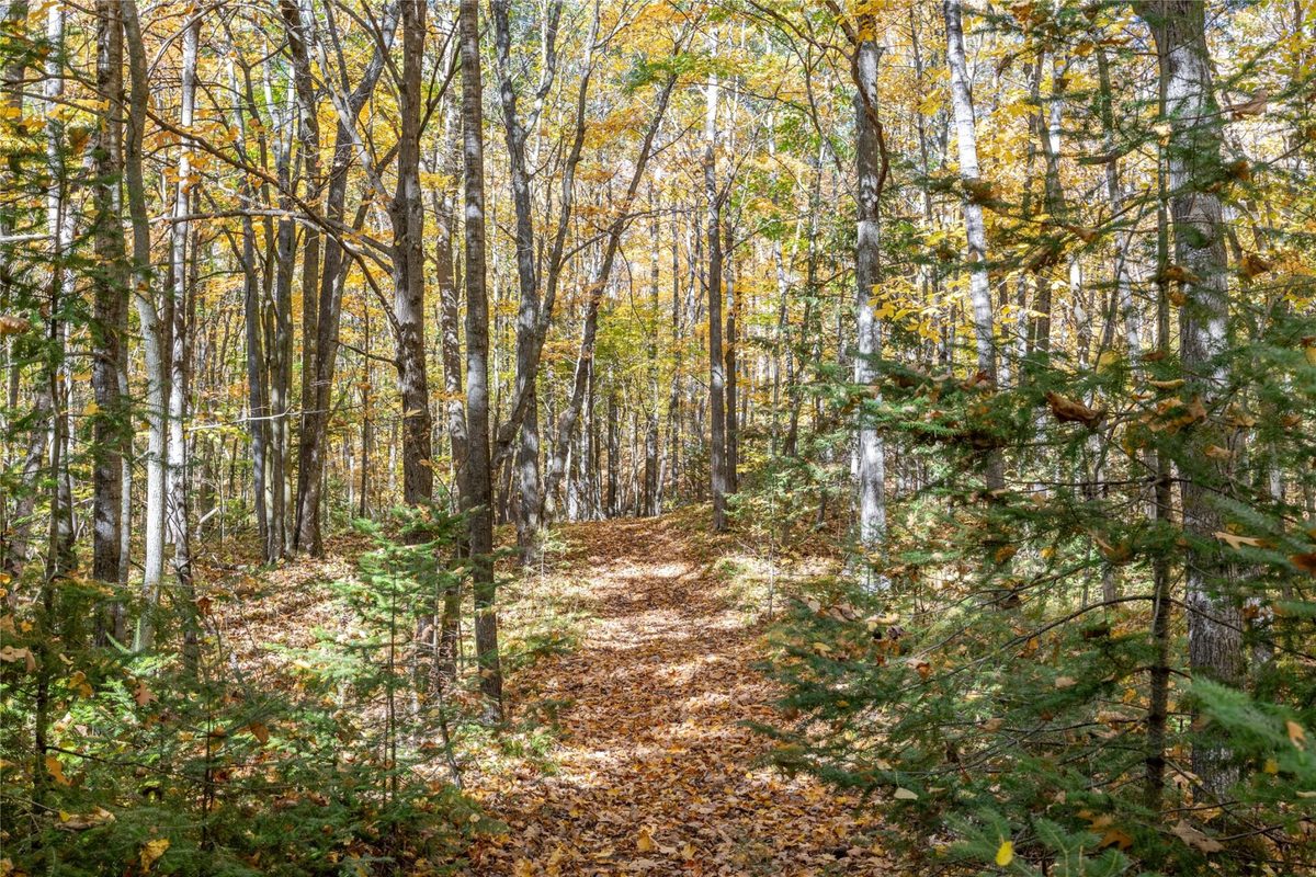 W5957 Happy Acres Road Tony WI 54563 - image30