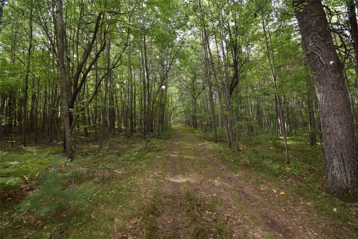 28206 Pardun Road, Danbury WI 54830 - Land house for sale - MLS #1604938 - image23