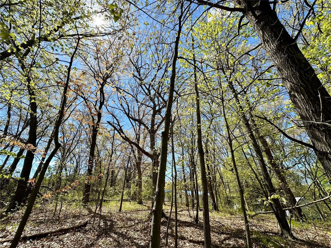 1438 Pleasant Hill Road, Eau Claire WI 54703 - Land house for sale - MLS #1602766 - image6