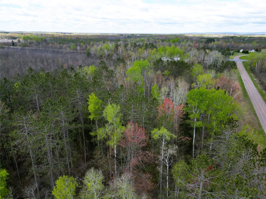 36.5 Acres E Cedarbrook Road, Ladysmith WI 54848 - Land house for sale - MLS #1601172 - image7
