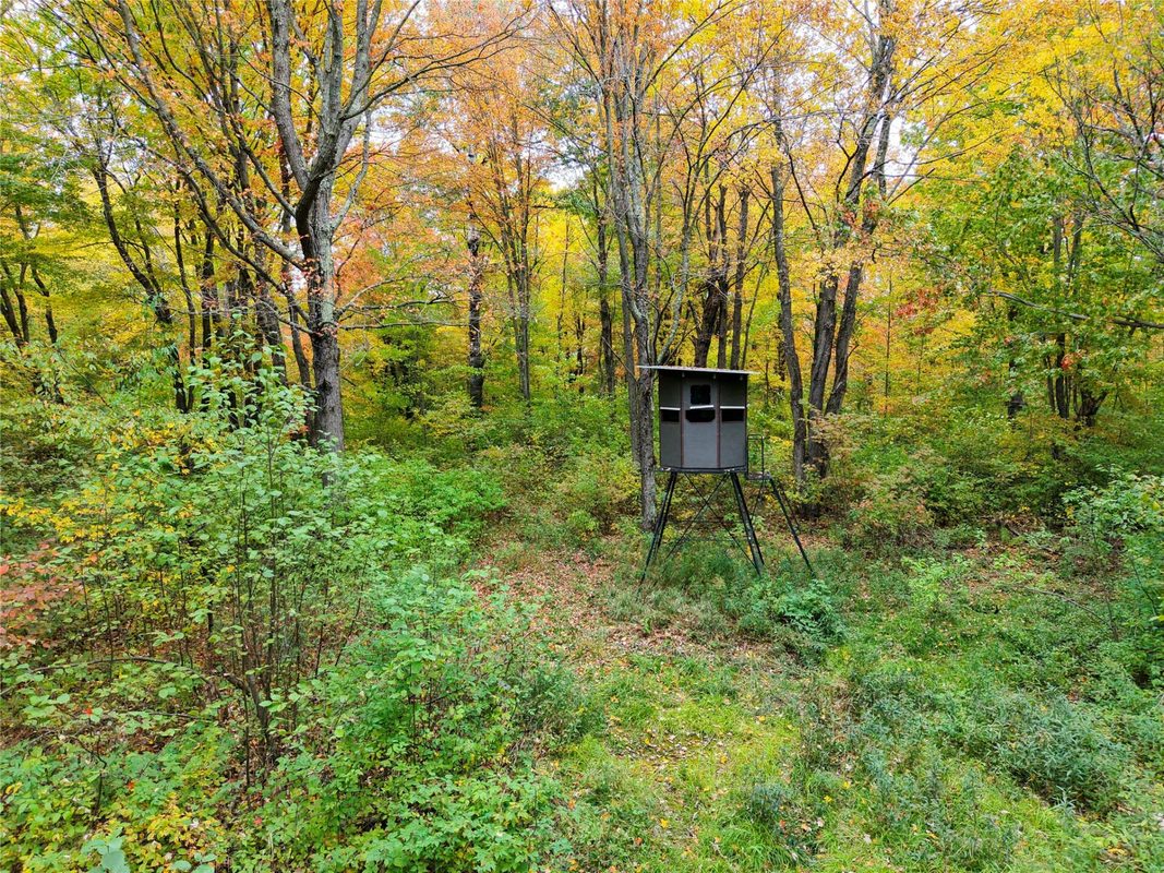 0000 County Road I, Ogema WI 54459 - Land house for sale - MLS #1605613 - image14