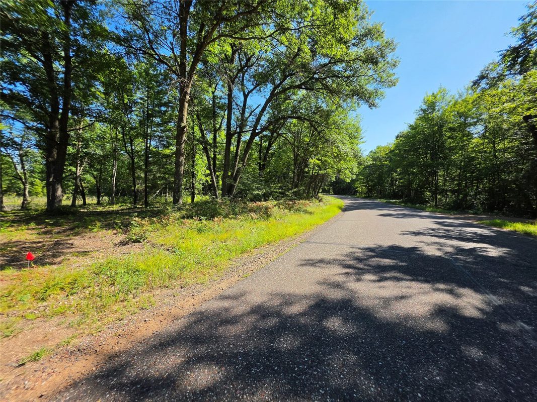27696 295th (Lot 15) Street, Holcombe WI 54745 - Land house for sale - MLS #1604256 - image2